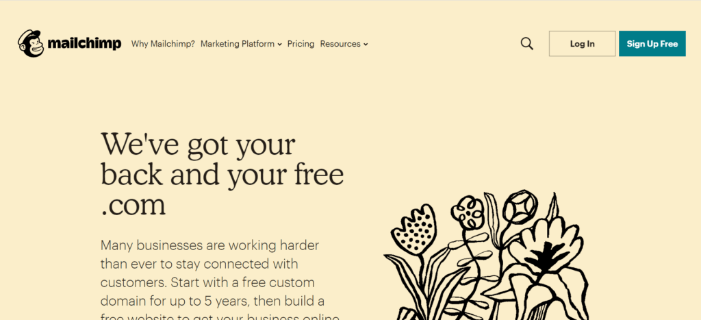 mailchimp-email-marketing-service