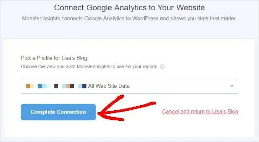 complete connection monsterinsights