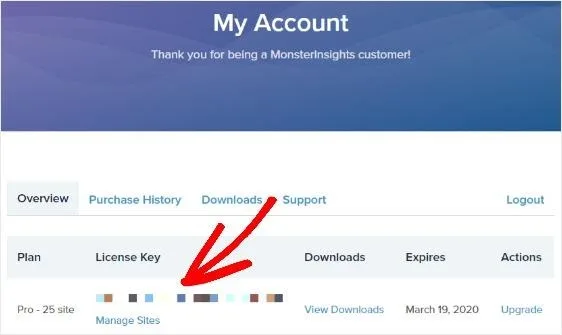 my account monsterinsights