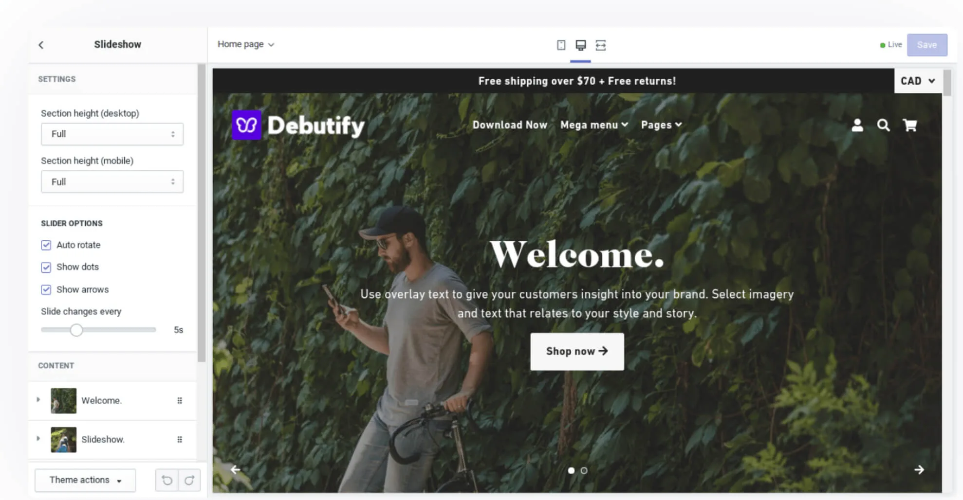 Debutify Theme customization