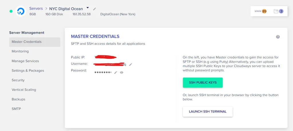 cloudways IP address