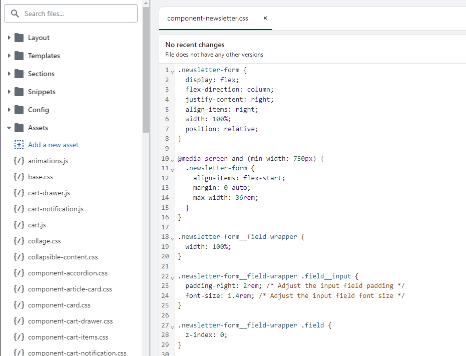 add custom code in theme.liquid File in shopify